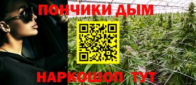 гидропоника Краснознаменск