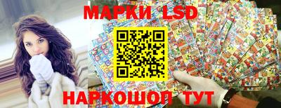 гидропоника Краснознаменск