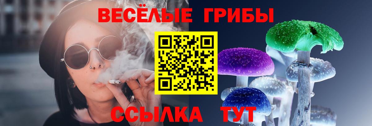 Киселёвск  Псилоцибиновые грибы GOLDEN TEACHER  Псилоцибиновые грибы прущие грибы  Вход с VPN 